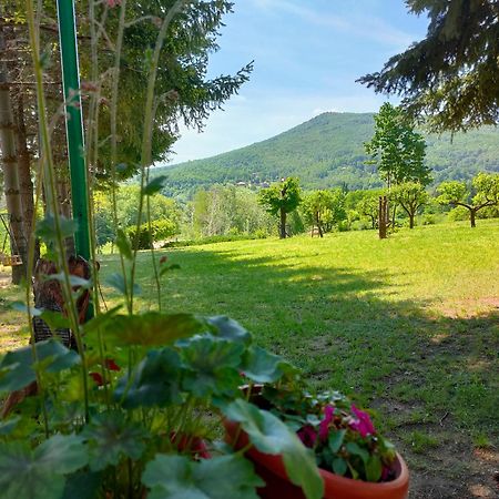 Vila Jezerski Raj Borsko Jezero Екстериор снимка
